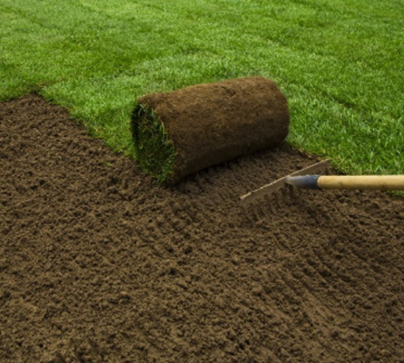 Sod installation near me